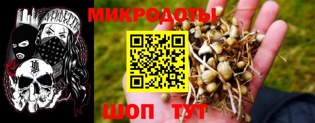 Псилоцибиновые грибы GOLDEN TEACHER Домодедово